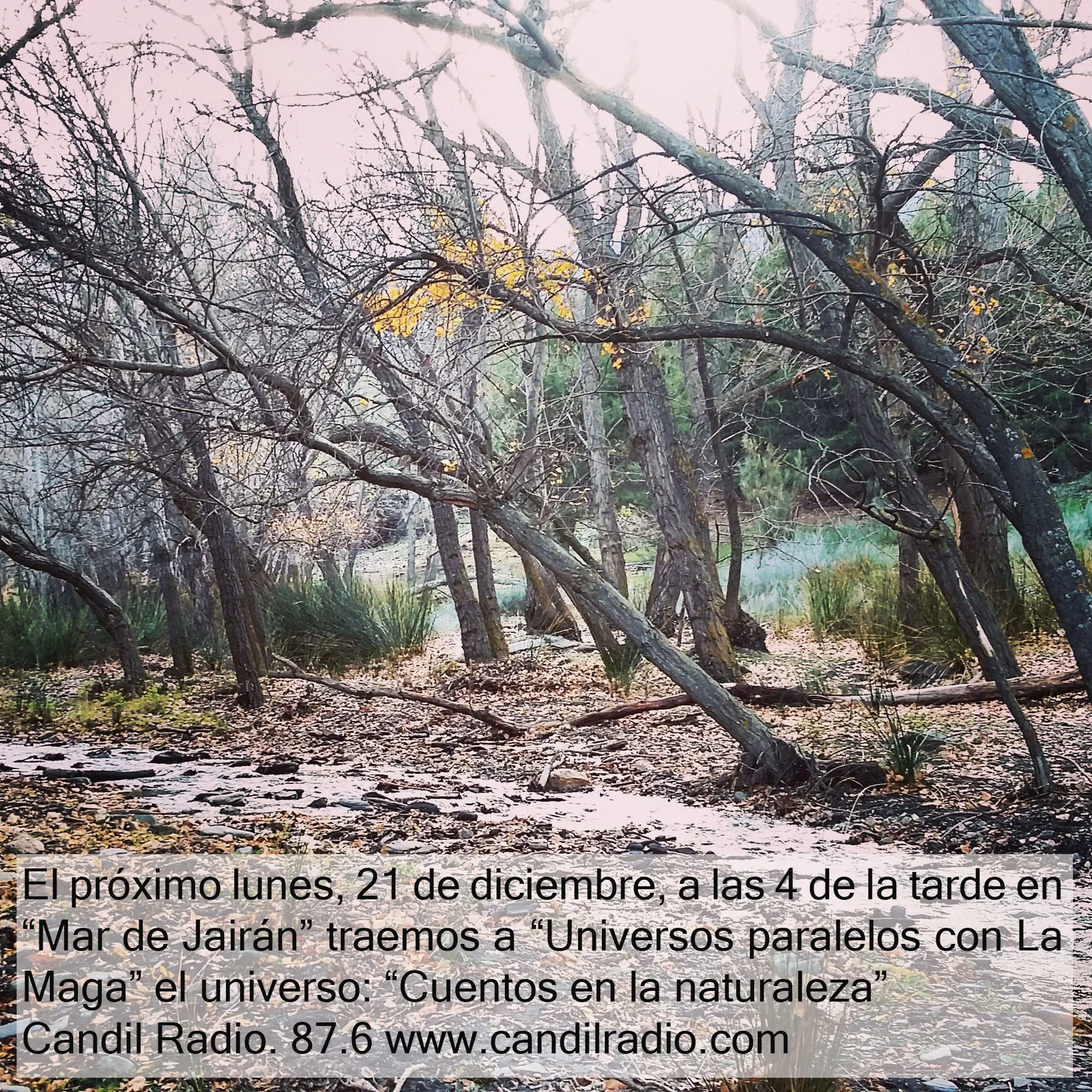 Programa 15